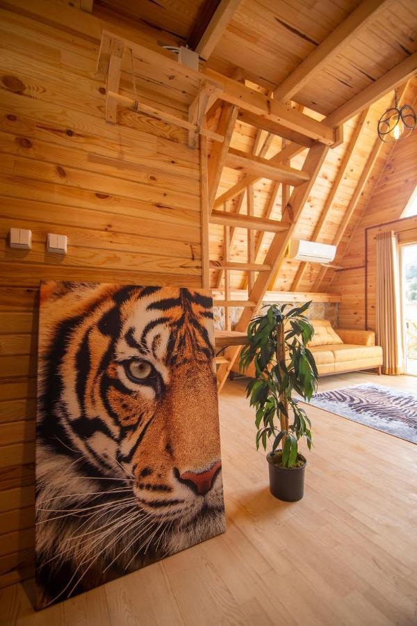 Hotel GAIA Kozbeyli Fokaja Zewnętrze zdjęcie
